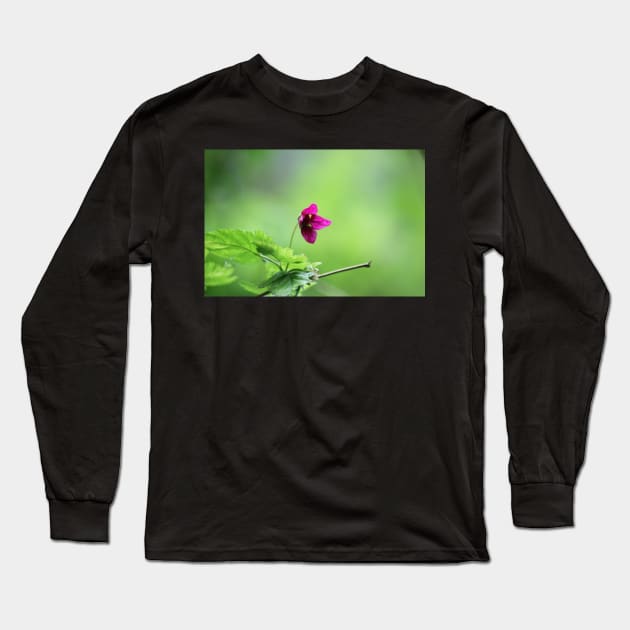 Salmon berry flowers 3 Long Sleeve T-Shirt by DlmtleArt